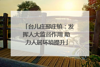台儿庄邳庄镇：发挥人大监督作用 助力人居环境提升