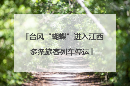 台风“蝴蝶”进入江西 多条旅客列车停运