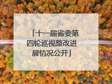 十一届省委第四轮巡视整改进展情况公开