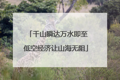 千山瞬达万水即至 低空经济让山海无阻