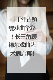千年古镇绽戏曲华彩！长三角顾锡东戏曲艺术周启幕