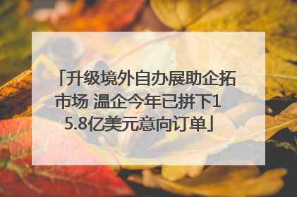 升级境外自办展助企拓市场 温企今年已拼下15.8亿美元意向订单