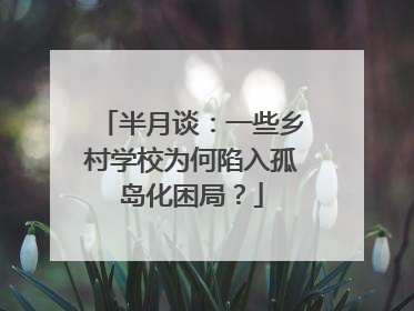 半月谈：一些乡村学校为何陷入孤岛化困局？