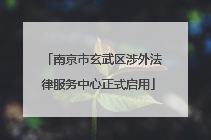 南京市玄武区涉外法律服务中心正式启用