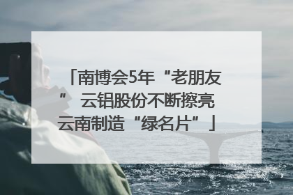 南博会5年“老朋友” 云铝股份不断擦亮云南制造“绿名片”
