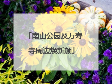 南山公园及万寿寺周边焕新颜