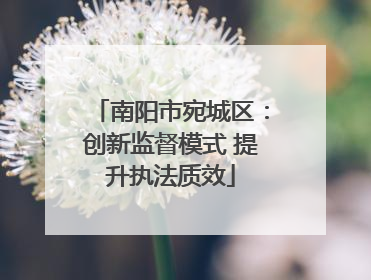 南阳市宛城区：创新监督模式 提升执法质效