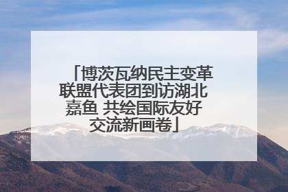 博茨瓦纳民主变革联盟代表团到访湖北嘉鱼 共绘国际友好交流新画卷