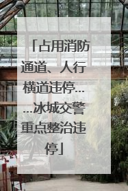 占用消防通道、人行横道违停……冰城交警重点整治违停