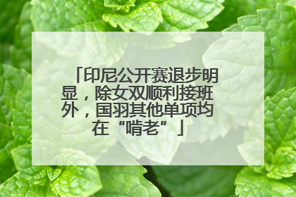 印尼公开赛退步明显，除女双顺利接班外，国羽其他单项均在“啃老”