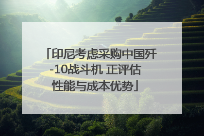 印尼考虑采购中国歼-10战斗机 正评估性能与成本优势