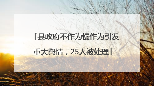 县政府不作为慢作为引发重大舆情，25人被处理