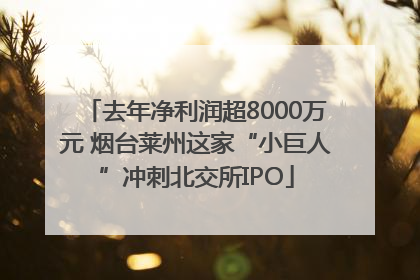 去年净利润超8000万元 烟台莱州这家“小巨人”冲刺北交所IPO
