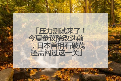 压力测试来了！今夏参议院改选前，日本首相石破茂还需闯过这一关