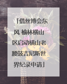 借丝博会东风 榆林横山区启动横山老腰鼓吉尼斯世界纪录申请