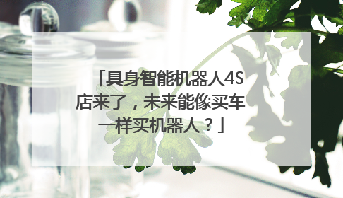具身智能机器人4S店来了，未来能像买车一样买机器人？