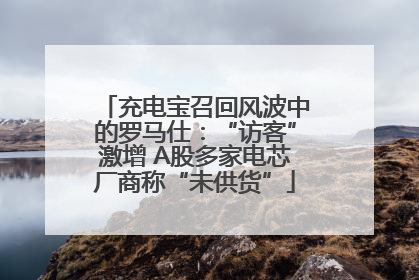 充电宝召回风波中的罗马仕：“访客”激增 A股多家电芯厂商称“未供货”