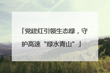 党建红引领生态绿，守护高速“绿水青山”