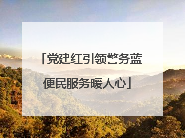 党建红引领警务蓝 便民服务暖人心