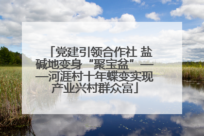 党建引领合作社 盐碱地变身“聚宝盆”——河涯村十年蝶变实现产业兴村群众富