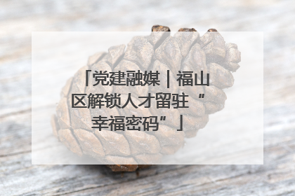 党建融媒｜福山区解锁人才留驻“幸福密码”