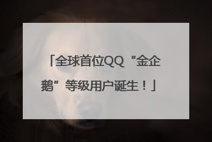 全球首位QQ“金企鹅”等级用户诞生！