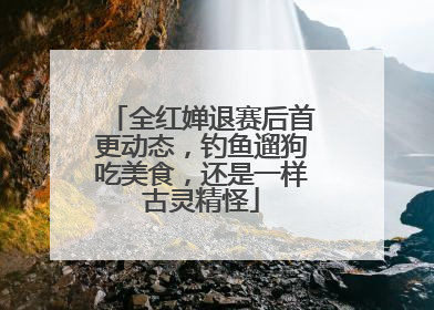 全红婵退赛后首更动态，钓鱼遛狗吃美食，还是一样古灵精怪