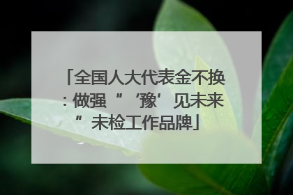 全国人大代表金不换：做强“‘豫’见未来”未检工作品牌