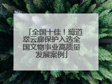 全国十佳！蜀道翠云廊保护入选全国文物事业高质量发展案例