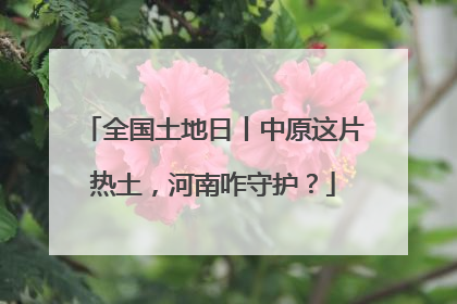 全国土地日丨中原这片热土，河南咋守护？