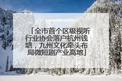 全市首个区级视听行业协会落户杭州钱塘，九州文化牵头布局微短剧产业高地