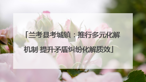 兰考县考城镇：推行多元化解机制 提升矛盾纠纷化解质效