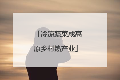 冷凉蔬菜成高原乡村热产业