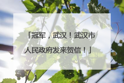 冠军，武汉！武汉市人民政府发来贺信！