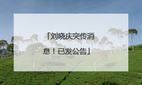 刘晓庆突传消息！已发公告