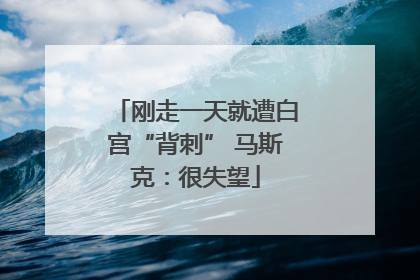 刚走一天就遭白宫“背刺” 马斯克：很失望