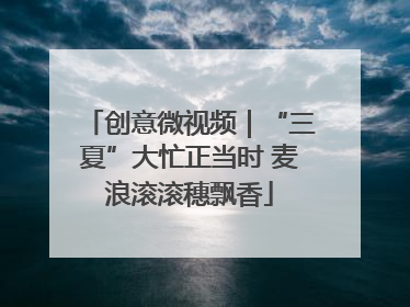 创意微视频｜“三夏”大忙正当时 麦浪滚滚穗飘香