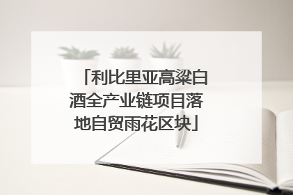利比里亚高粱白酒全产业链项目落地自贸雨花区块