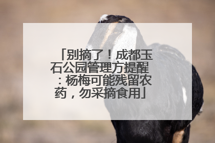 别摘了！成都玉石公园管理方提醒：杨梅可能残留农药，勿采摘食用