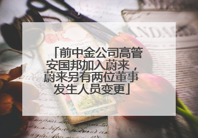 前中金公司高管安国邦加入蔚来，蔚来另有两位董事发生人员变更