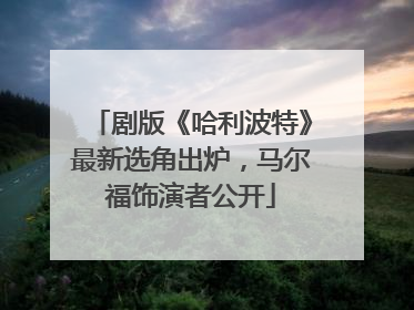剧版《哈利波特》最新选角出炉，马尔福饰演者公开