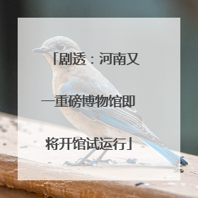 剧透：河南又一重磅博物馆即将开馆试运行