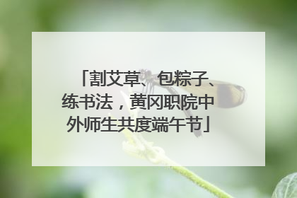 割艾草、包粽子、练书法，黄冈职院中外师生共度端午节