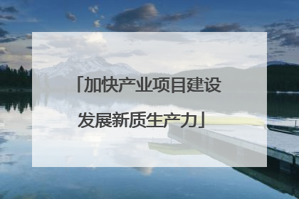 加快产业项目建设 发展新质生产力