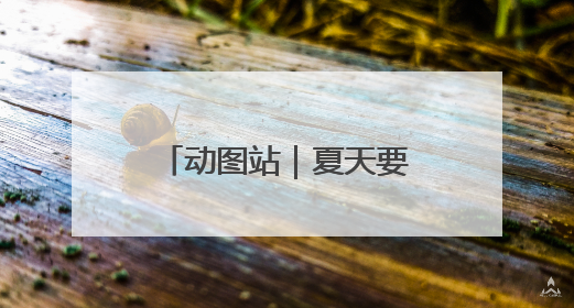 动图站｜夏天要去赶海的人注意啦！看到这些，千万别伸手！