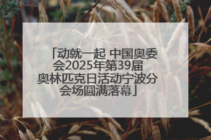 动就一起 中国奥委会2025年第39届奥林匹克日活动宁波分会场圆满落幕