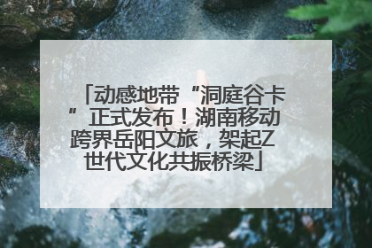 动感地带“洞庭谷卡”正式发布！湖南移动跨界岳阳文旅，架起Z世代文化共振桥梁