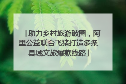 助力乡村旅游破圈，阿里公益联合飞猪打造多条县域文旅爆款线路