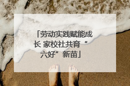 劳动实践赋能成长 家校社共育“六好”新苗