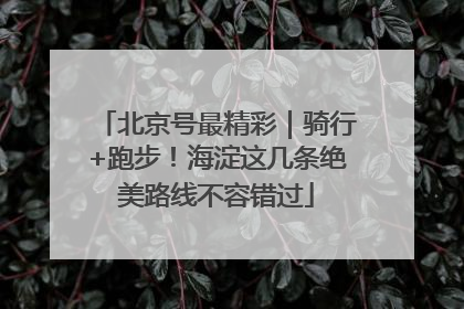 北京号最精彩｜骑行+跑步！海淀这几条绝美路线不容错过
